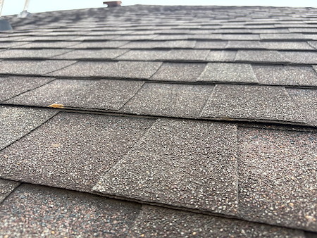 How Often Should You Schedule Professional Roof Cleaning in North Texas?