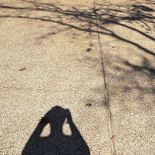 1-Driveway-Washing-in-Roanoke-TX 0